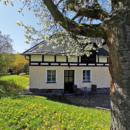 Ferienwohnung "Am Saalehaken" Gossitz エクステリア 写真