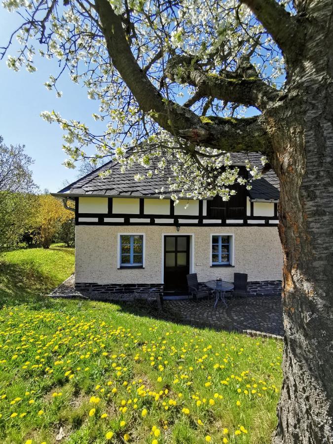 Ferienwohnung "Am Saalehaken" Gossitz エクステリア 写真